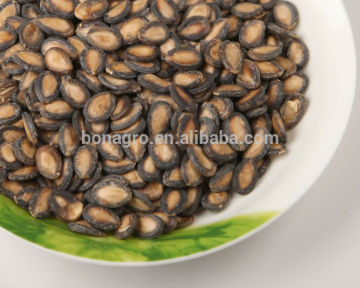 chinese hot sale bulk black watermelon seeds