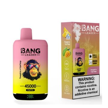 Bang Leader 45000 Puffs Rechargeable Vape Device