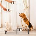 Stand de tigelas inclinadas para cães elevados