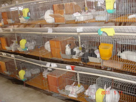 Breeding of Welded Wire Mesh