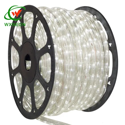Outdoor Waterproof 10mm LED Rope Light - 50m Roll