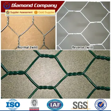High quality chicken dog kennel hexagonal Normal twisted reverse twisted Hexagonal wire mesh