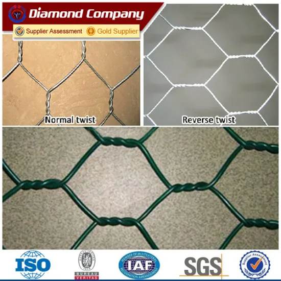 High quality chicken dog kennel hexagonal Normal twisted reverse twisted Hexagonal wire mesh
