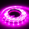 LED Grow Light Full Spectrum DC5V USB Grow Strip 0.5m 1m 1.5m 2m 2.5m 2835 SMD LED Phyto Tape for Seed Plants Flowers Greenhouse