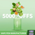 Elf Bar BC5000 Puffs Customized Logo Disposable Vape