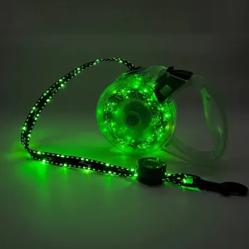 2024 Luxurious LED Retractable Dog Leash