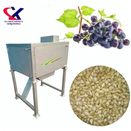 2500kg/h Grape Seed Oil Production Line Equipment - Grape Seeds Extract Machine