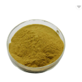 Best function cnidium monnieri extract powder fructus cnidii