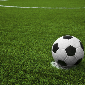 Artificial Lawn Turf for Football Fields