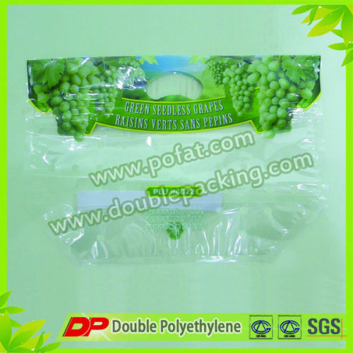 Popular Grape Laminated Pouch Bag