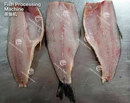 Automatic Fish Processing Machine
