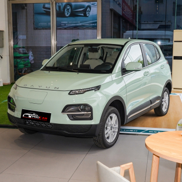 2023 Beste billige EV -Autos: Kleine Elektrofahrzeuge für Erwachsene in China (linke Handfahrt)