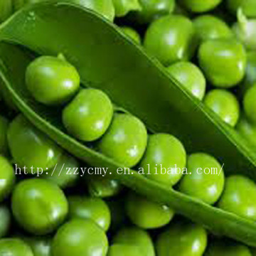 canned green pea protein