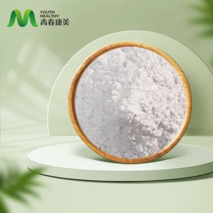 Pure Chondroitin Sulfate Powder for Medical Use