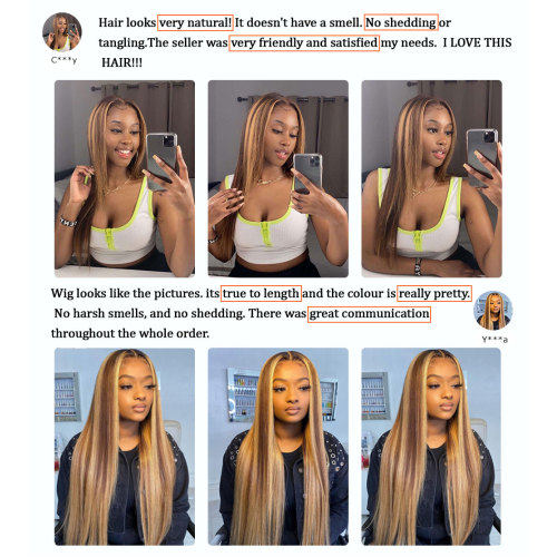 Highlight Brown Straight Lace Front Wig Human Hair Wigs For Women Lace Closure Wig Pre Plucked Honey Blonde Colored Cheap Wigs