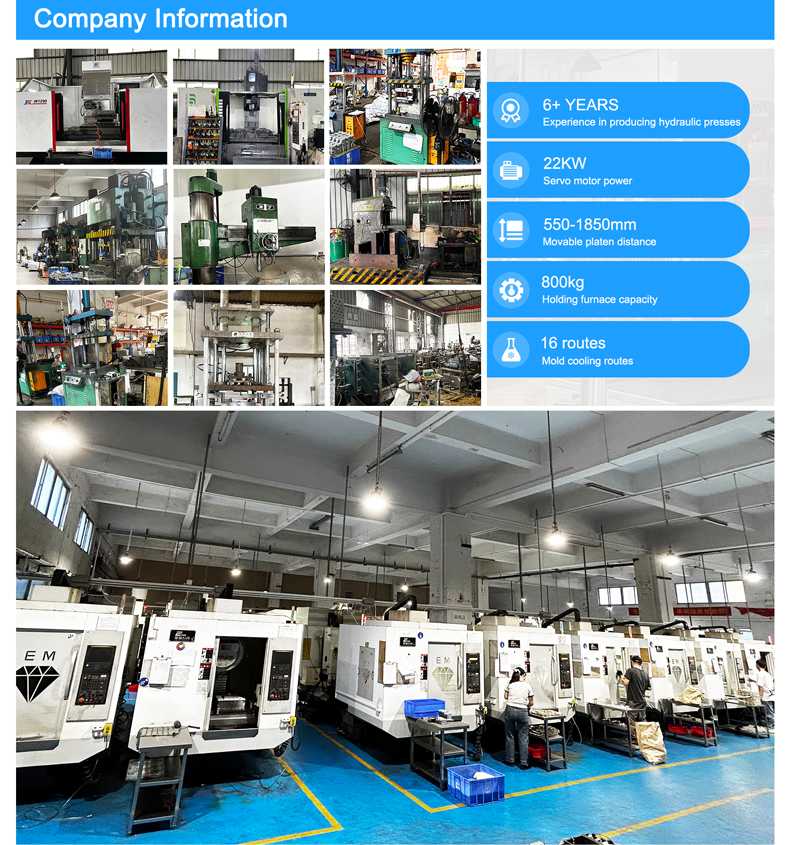 Company Information