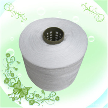 Polyester Yarn TFO