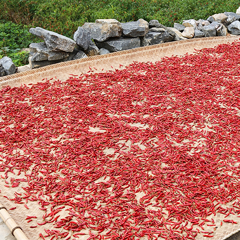 Dry The Millet Peppers Jpg