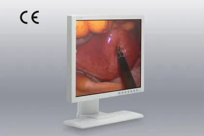 19-Inch 1280X1024 Gastroscopy Monitor, CE