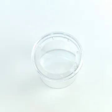 Children's Outdoor Transparent Observation Box with Insect Magnifying Glass