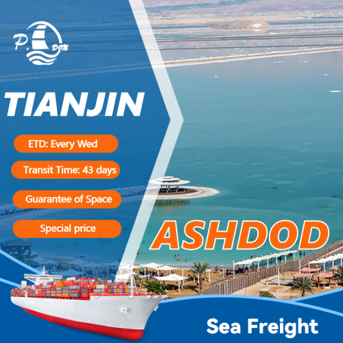 Shipping from Tianjin to Ashdod