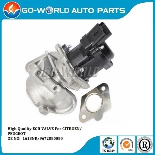 Exhaust System Valve For CITROEN/ PEUGEOT 206 /FORD Focus OE NO: 1618NR/5S6Q9D475AD/9672880080