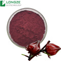 High quality Hibiscus extract powder