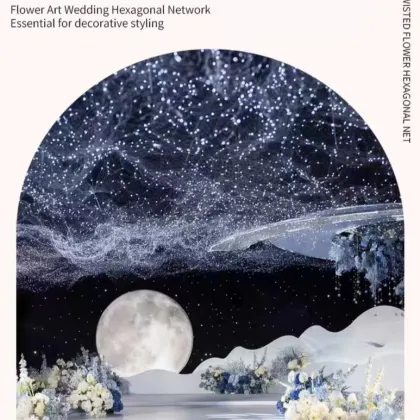 Hexagonal ironwork starry sky net wedding ceiling decoration