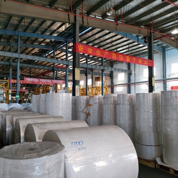 Offset thermal Bopp adhesive large roll paper