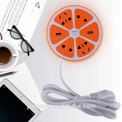 lemon usb socket