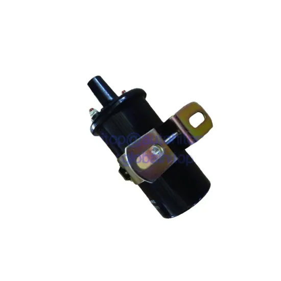 Low Price Ignition Coil Assy for Toyota Hiace 90919-02202 - In Stock