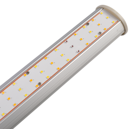 800w LED roste světlo Amazon