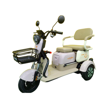 Compact Electric Tricycle for Easy Narrow Space Navigation