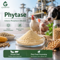 Polvo de enzima fitasa para aplicaciones de alimentación animal y alimentos de origen vegetal