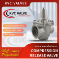 China DN25-300 Compression release valve Factory