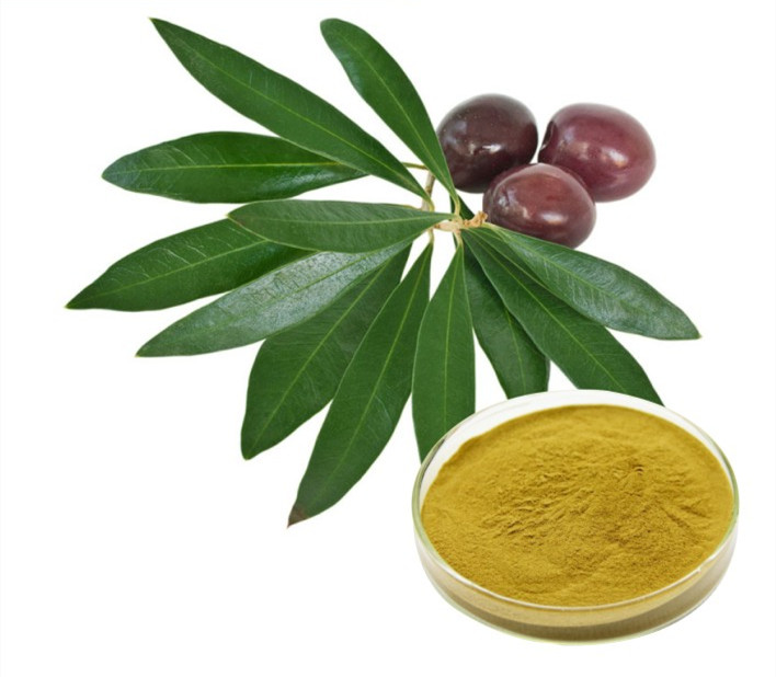 olive leaf extract benefits