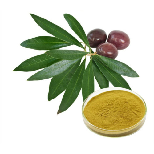 Pure Olive Leaf Extract Powder