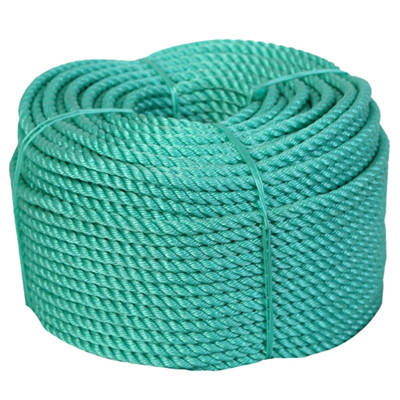 PP Danline Twist Rope