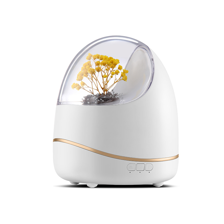 Fancy Flower aroma LED diffuser for office home