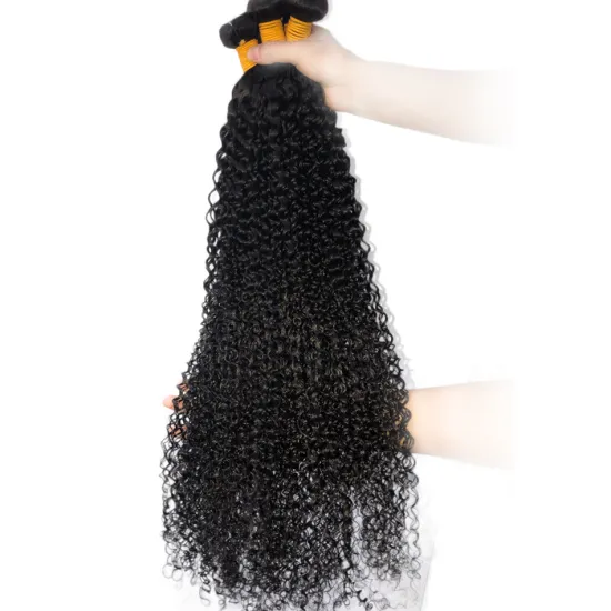 Wholesale Kinky Curly Cuticle Aligned Virgin Human Hair 3 Bundles Raw Unprocessed Brazilian Double Drawn Human Hair Extensions