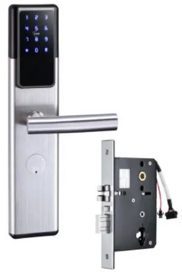 Zinc Bonding Panel door locks with ttlock