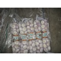 /msite/products/detail/productid/57596746/id/573198.html