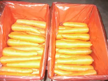 New Crop Carrot 80-150g