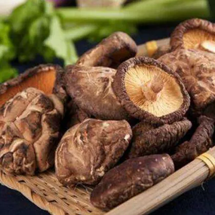 Edible Fungi Dried Shiitake Mushrooms