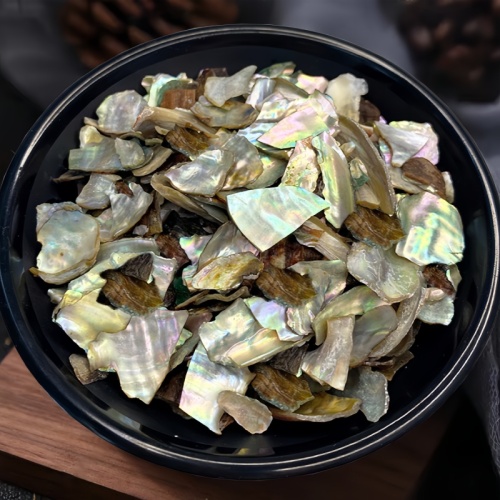 Abalone Shell for Liver Calming and Wind Control