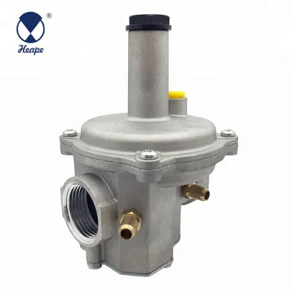 HEAPE Gas Regulator Valve 500mbar