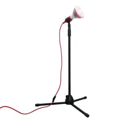 Red Light Bulb Red Infrared Therapy Lamp