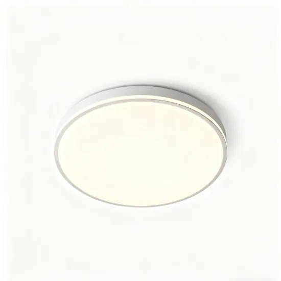 Modern Round LED Ceiling Light Fixture