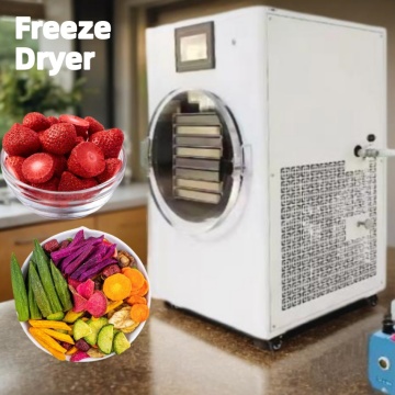Small Industrial Freeze Dryer for Coffee, Fruits, and Vegetables