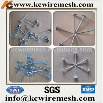 Galvanized roofing nails with twisted shank .